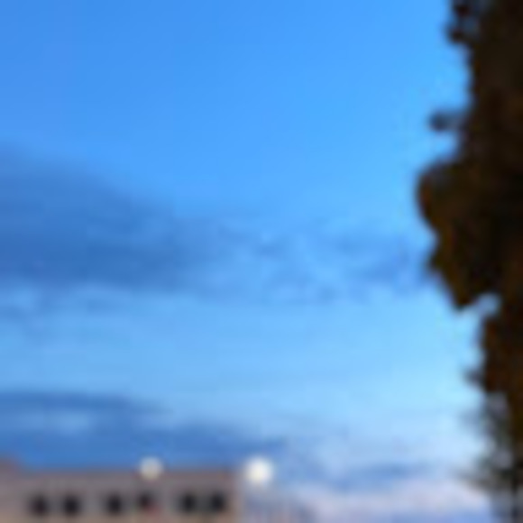 Meet your Posher, Alison - Picture 1 of 1